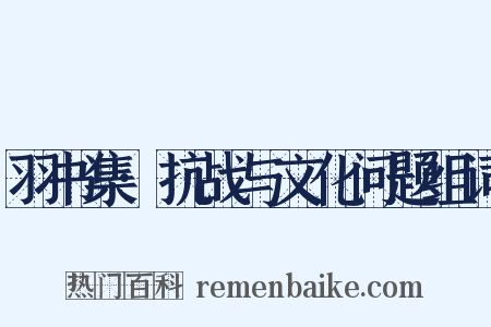 羽书集·抗战与文化问题组词是什么意思的图片